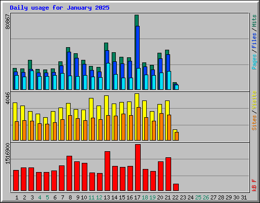 Daily usage for January 2025