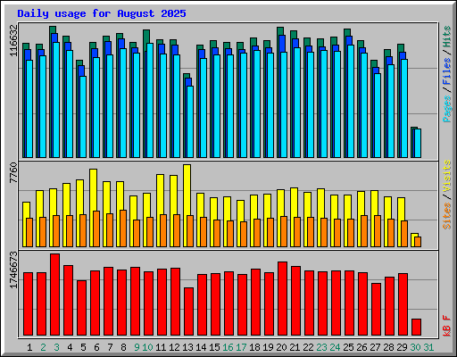 Daily usage for August 2025