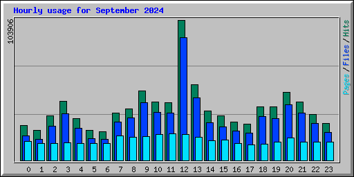 Hourly usage for September 2024