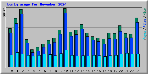 Hourly usage for November 2024