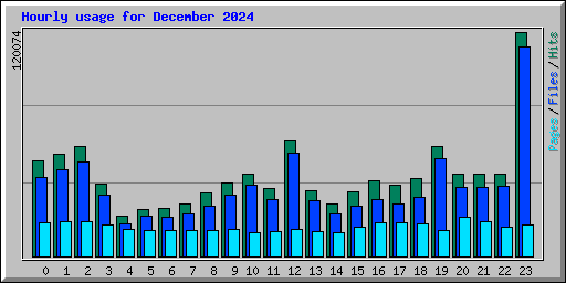 Hourly usage for December 2024