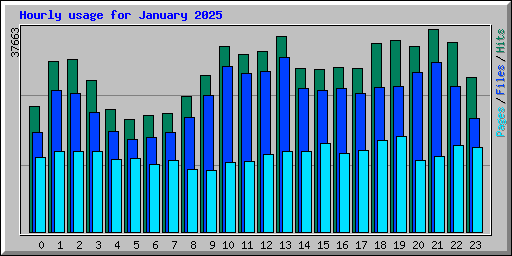 Hourly usage for January 2025