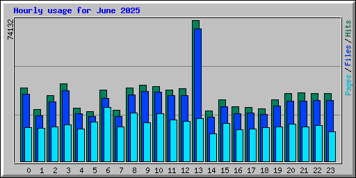 Hourly usage for June 2025