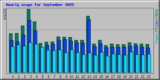 Hourly usage for September 2025