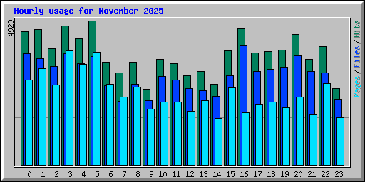 Hourly usage for November 2025