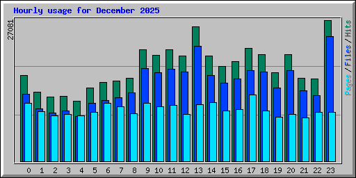 Hourly usage for December 2025