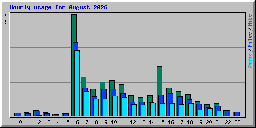 Hourly usage for August 2026