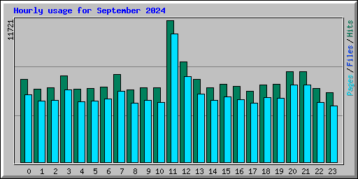 Hourly usage for September 2024