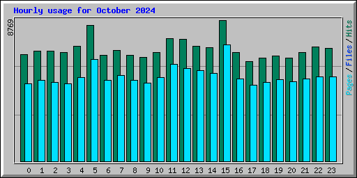 Hourly usage for October 2024