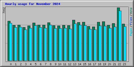 Hourly usage for November 2024