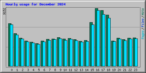 Hourly usage for December 2024