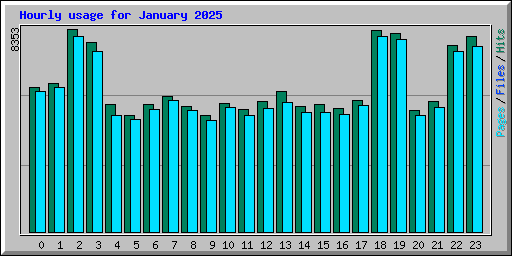 Hourly usage for January 2025