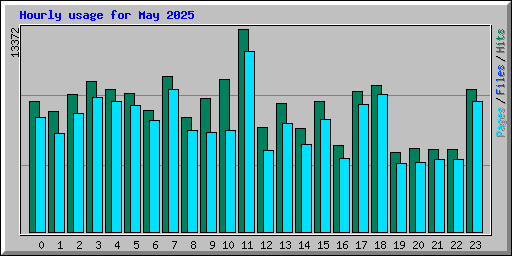 Hourly usage for May 2025
