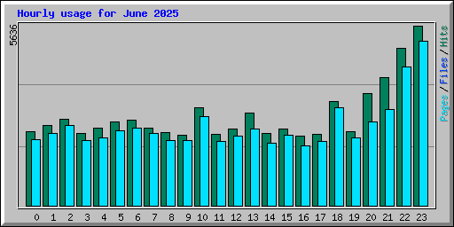 Hourly usage for June 2025