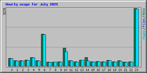 Hourly usage for July 2025