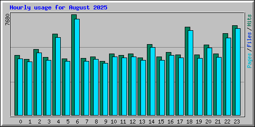 Hourly usage for August 2025