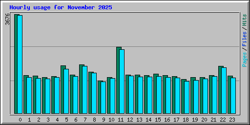 Hourly usage for November 2025