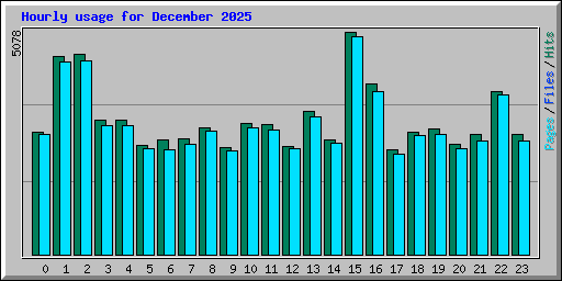 Hourly usage for December 2025