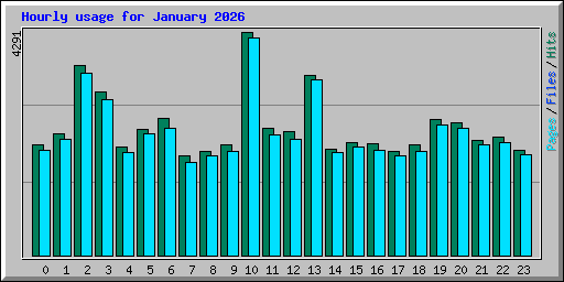Hourly usage for January 2026