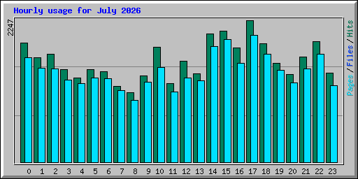 Hourly usage for July 2026