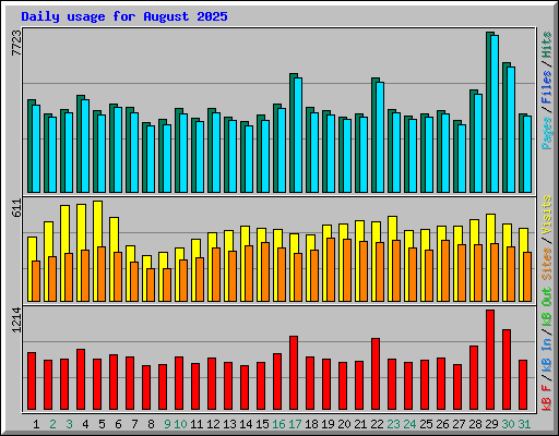Daily usage for August 2025