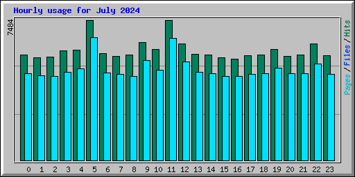 Hourly usage for July 2024