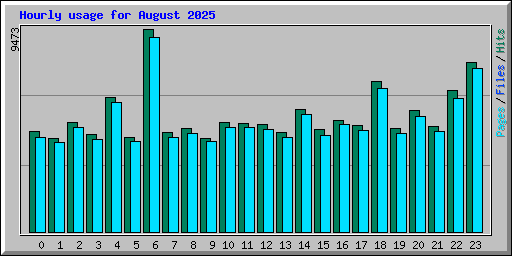 Hourly usage for August 2025