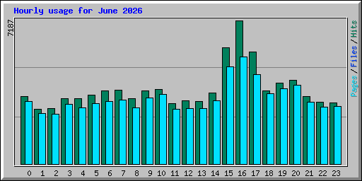Hourly usage for June 2026