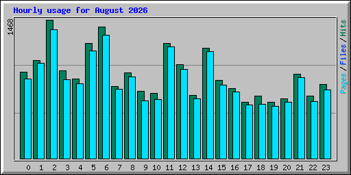 Hourly usage for August 2026